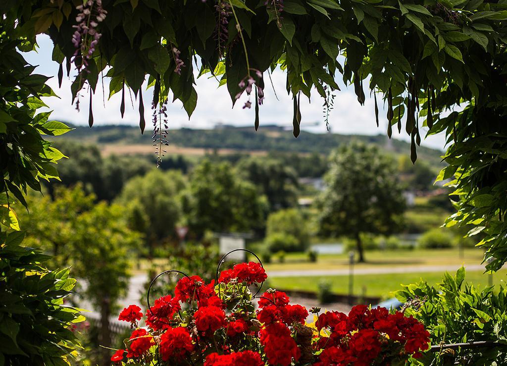 Hotel Zehnthof Ürzig エクステリア 写真