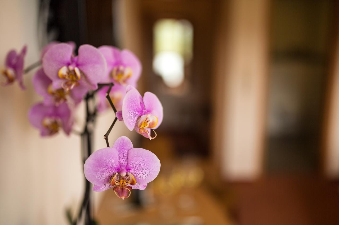 Hotel Zehnthof Ürzig エクステリア 写真