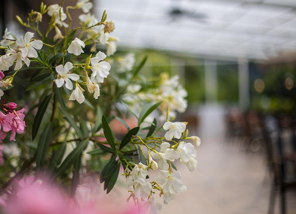 Hotel Zehnthof Ürzig エクステリア 写真